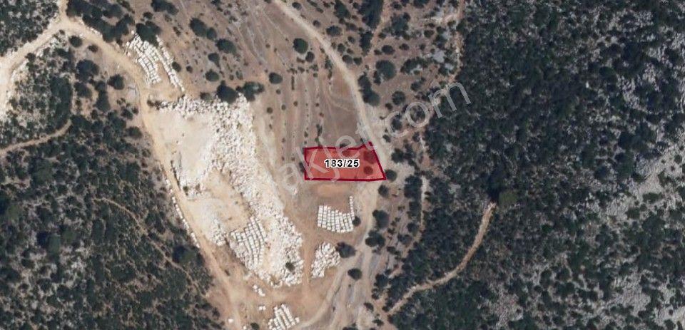 Stop’Tan Seydikemer Dodurga’Da 1057M² Satılık Tarla