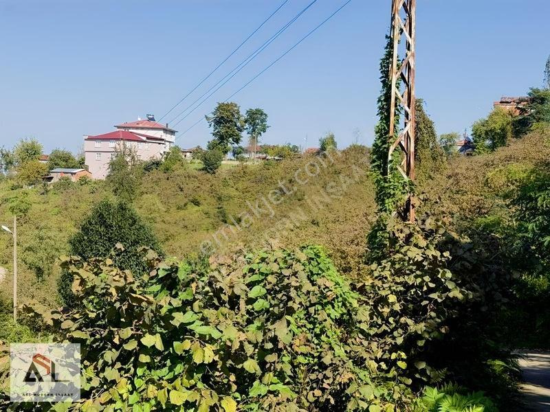 Satılık Bahçe Turnasuyunda 644 M2 — fotoğraf 4