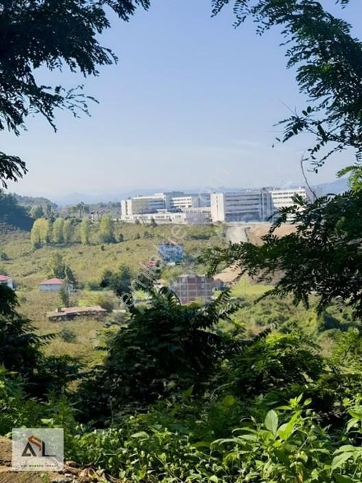 Satılık Bahçe Turnasuyunda 644 M2 — fotoğraf 7