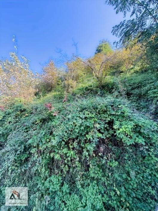Satılık Bahçe Turnasuyunda 644 M2 — fotoğraf 12