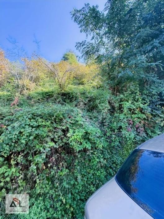 Satılık Bahçe Turnasuyunda 644 M2 — fotoğraf 13