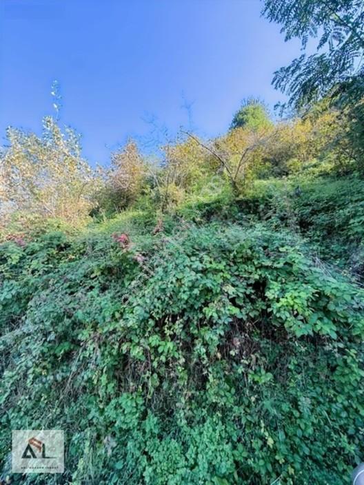Satılık Bahçe Turnasuyunda 644 M2 — fotoğraf 14