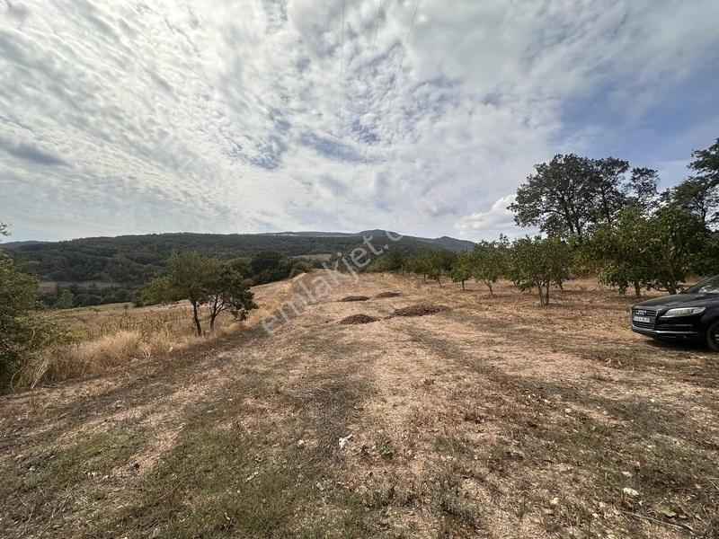 Taraklı Kemaller Mahallesinde 1.550 M2 İmarlı Yerimiz — fotoğraf 8