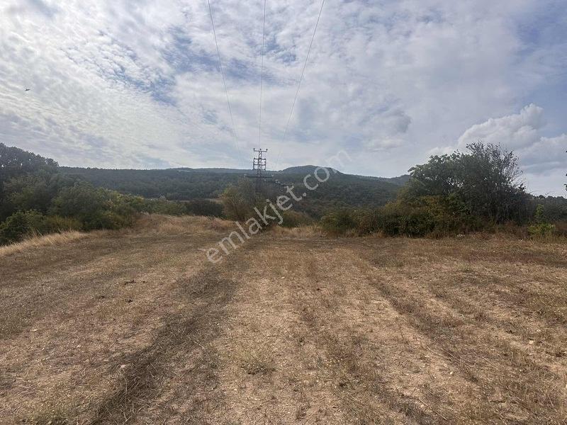Taraklı Kemaller Mahallesinde 1.550 M2 İmarlı Yerimiz — fotoğraf 11