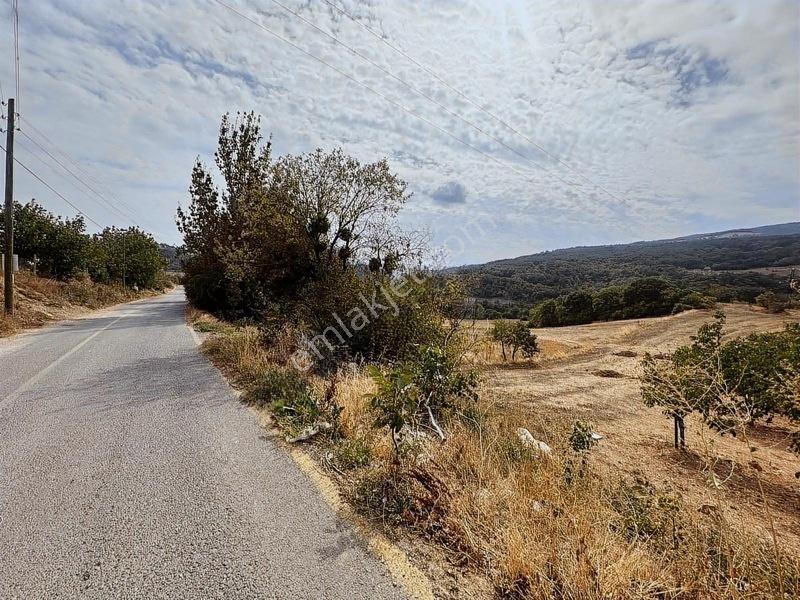 Taraklı Kemaller Mahallesinde 1.550 M2 İmarlı Yerimiz — fotoğraf 14