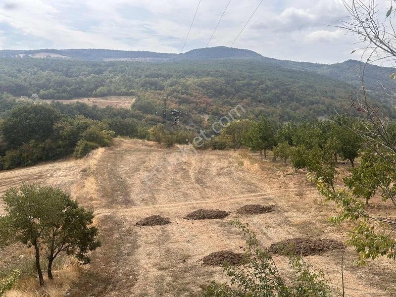Taraklı Kemaller Mahallesinde 1.550 M2 İmarlı Yerimiz — fotoğraf 15