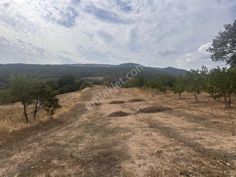 Taraklı Kemaller Mahallesinde 1.550 M2 İmarlı Yerimiz — fotoğraf 17