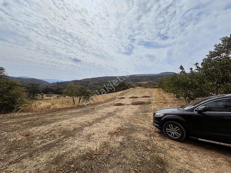 Taraklı Kemaller Mahallesinde 1.550 M2 İmarlı Yerimiz — fotoğraf 18