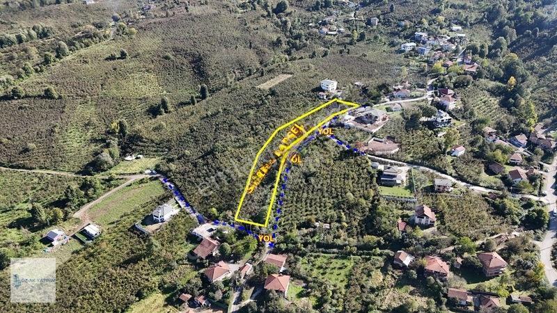 Öz-ak Tan Gölormanında 3-4 Parsele Bölünebilir 4.445 M2 Arsa — fotoğraf 3