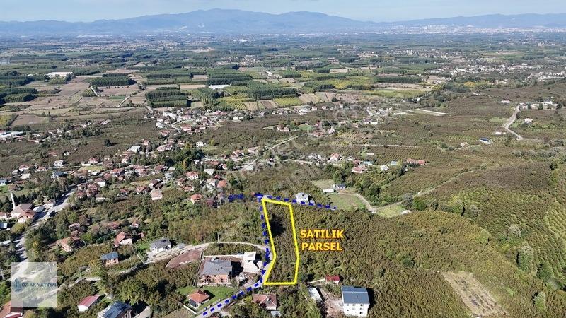 Öz-ak Tan Gölormanında 3-4 Parsele Bölünebilir 4.445 M2 Arsa — fotoğraf 7