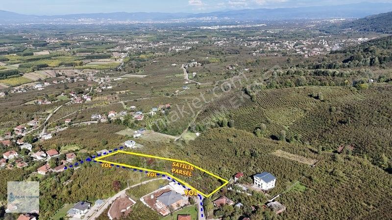 Öz-ak Tan Gölormanında 3-4 Parsele Bölünebilir 4.445 M2 Arsa — fotoğraf 8