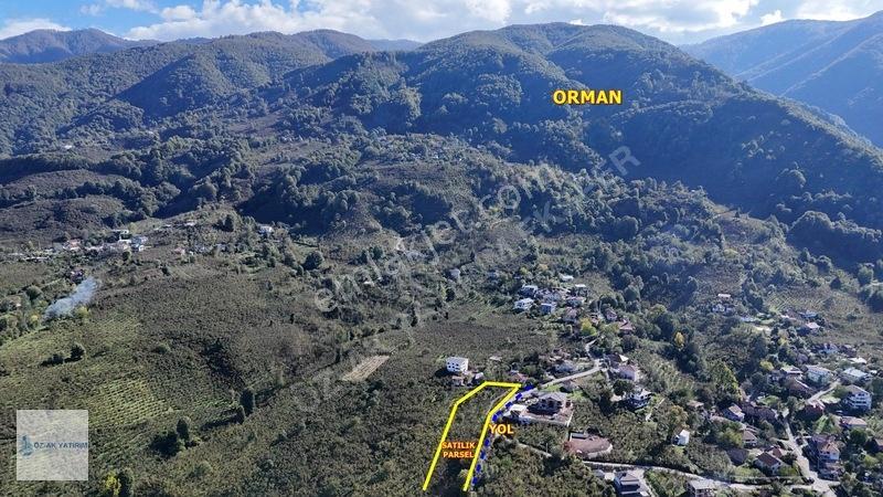 Öz-ak Tan Gölormanında 3-4 Parsele Bölünebilir 4.445 M2 Arsa — fotoğraf 9