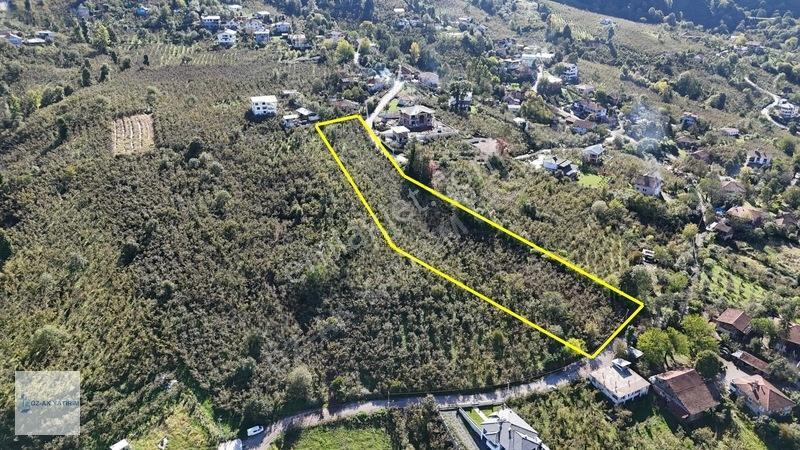 Öz-ak Tan Gölormanında 3-4 Parsele Bölünebilir 4.445 M2 Arsa — fotoğraf 10