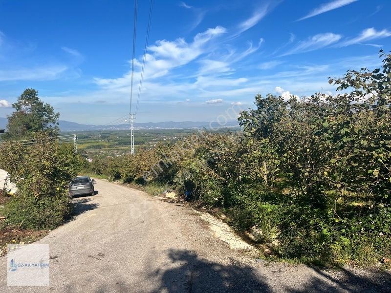 Öz-ak Tan Gölormanında 3-4 Parsele Bölünebilir 4.445 M2 Arsa — fotoğraf 13
