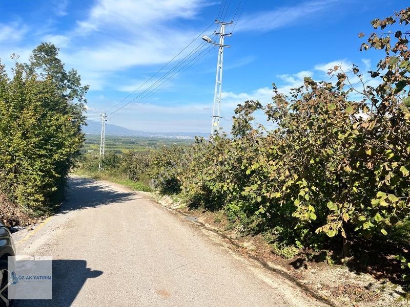 Öz-ak Tan Gölormanında 3-4 Parsele Bölünebilir 4.445 M2 Arsa — fotoğraf 14