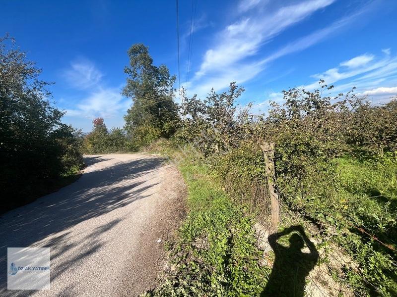 Öz-ak Tan Gölormanında 3-4 Parsele Bölünebilir 4.445 M2 Arsa — fotoğraf 17