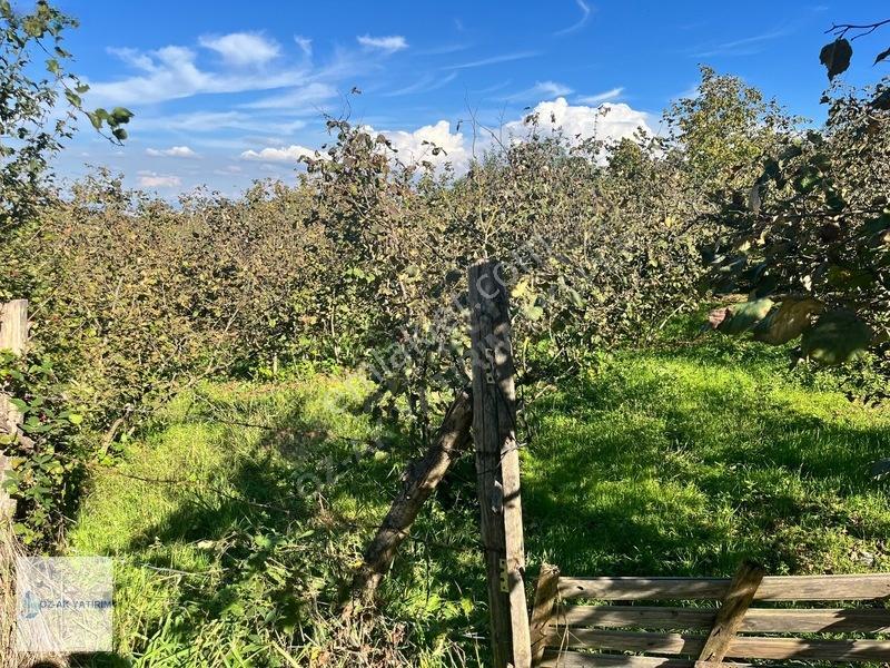 Öz-ak Tan Gölormanında 3-4 Parsele Bölünebilir 4.445 M2 Arsa — fotoğraf 18