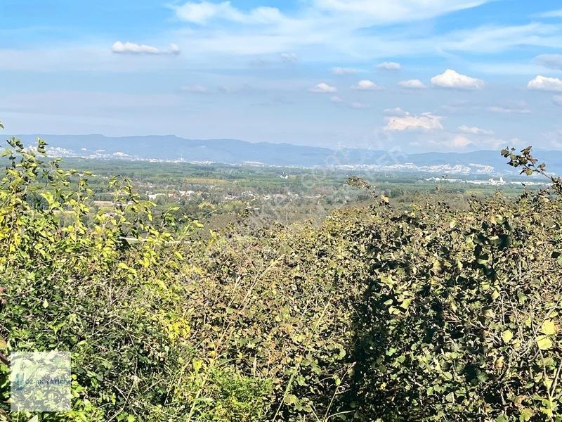 Öz-ak Tan Gölormanında 3-4 Parsele Bölünebilir 4.445 M2 Arsa — fotoğraf 20