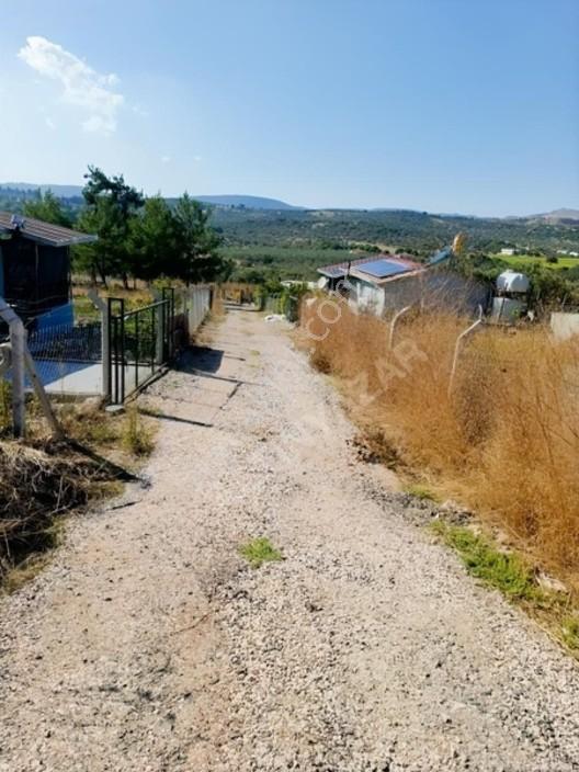 Aliağa Barboras Hayrettin Paşada 149 M2 Bahçe Acil Satılıktır — fotoğraf 4