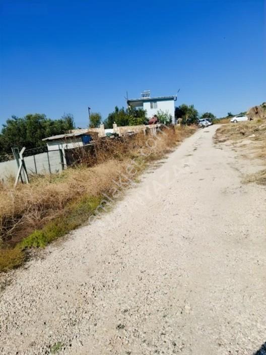 Aliağa Barboras Hayrettin Paşada 149 M2 Bahçe Acil Satılıktır — fotoğraf 7