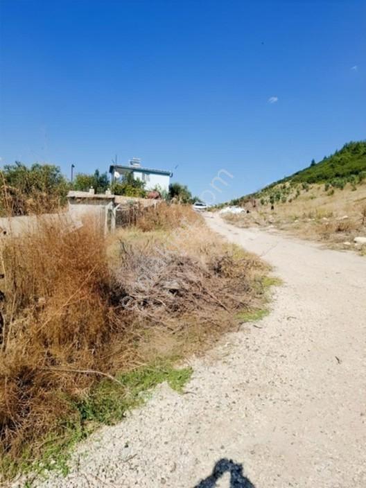 Aliağa Barboras Hayrettin Paşada 149 M2 Bahçe Acil Satılıktır — fotoğraf 8