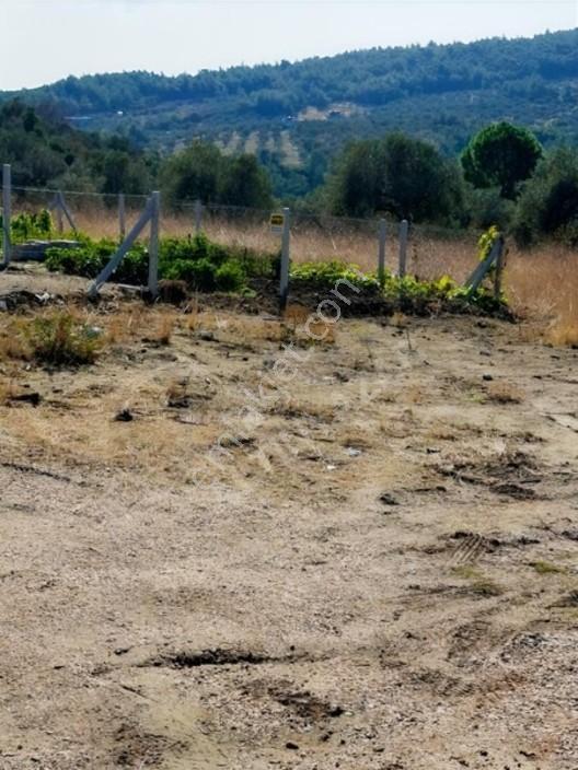 Aliağa Barboras Hayrettin Paşada 149 M2 Bahçe Acil Satılıktır — fotoğraf 10