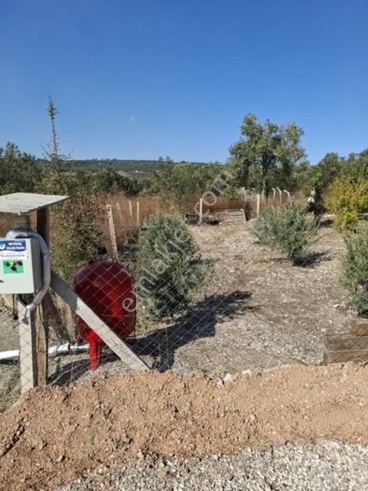 Aliağa Barboras Hayrettin Paşada 149 M2 Bahçe Acil Satılıktır — fotoğraf 13