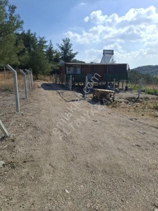 Aliağa Barboras Hayrettin Paşada 149 M2 Bahçe Acil Satılıktır — fotoğraf 14