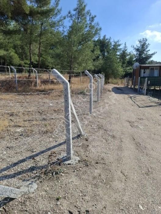 Aliağa Barboras Hayrettin Paşada 149 M2 Bahçe Acil Satılıktır — fotoğraf 15