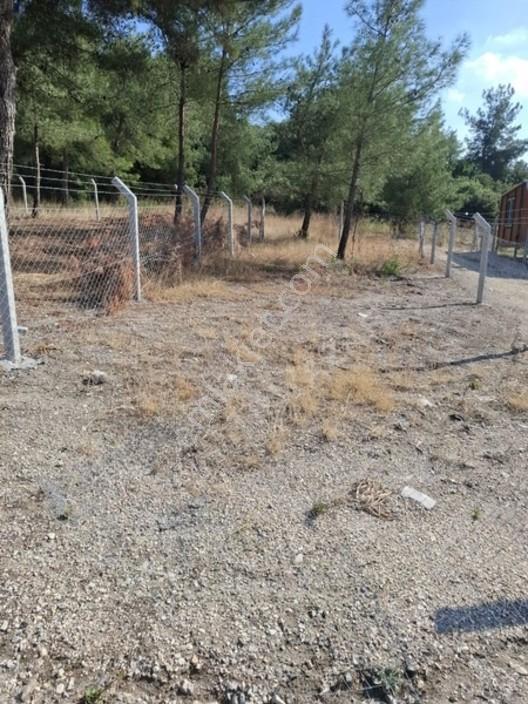 Aliağa Barboras Hayrettin Paşada 149 M2 Bahçe Acil Satılıktır — fotoğraf 16