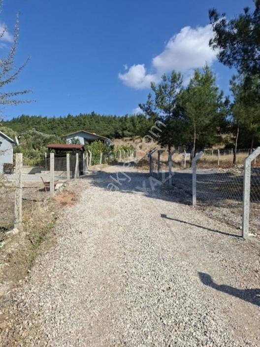 Aliağa Barboras Hayrettin Paşada 149 M2 Bahçe Acil Satılıktır — fotoğraf 19