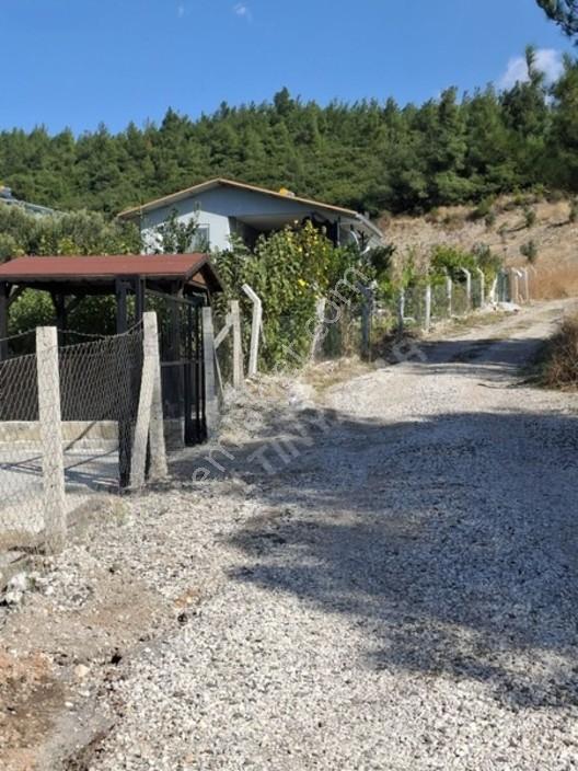 Aliağa Barboras Hayrettin Paşada 149 M2 Bahçe Acil Satılıktır — fotoğraf 20