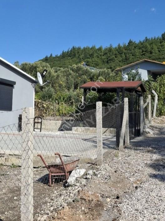 Aliağa Barboras Hayrettin Paşada 149 M2 Bahçe Acil Satılıktır — fotoğraf 21