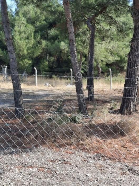Aliağa Barboras Hayrettin Paşada 149 M2 Bahçe Acil Satılıktır — fotoğraf 25