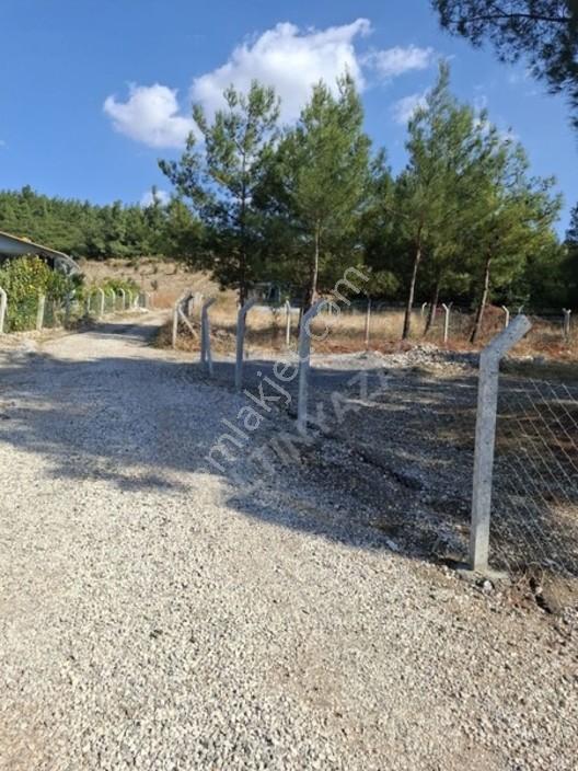 Aliağa Barboras Hayrettin Paşada 149 M2 Bahçe Acil Satılıktır — fotoğraf 26