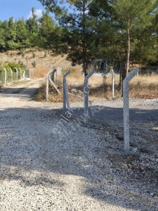 Aliağa Barboras Hayrettin Paşada 149 M2 Bahçe Acil Satılıktır — fotoğraf 27