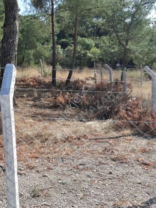 Aliağa Barboras Hayrettin Paşada 149 M2 Bahçe Acil Satılıktır — fotoğraf 28