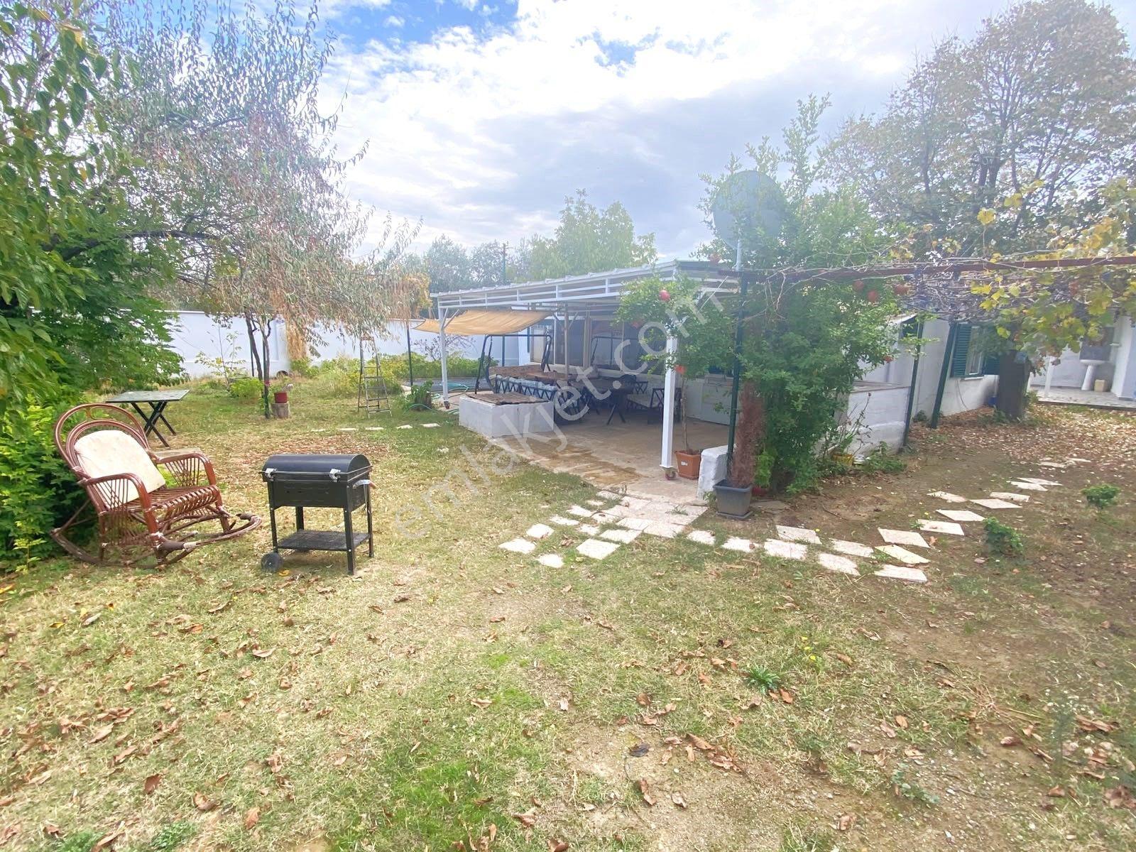 Aygül'Den İskele'De 6.380M2 İçerisinde Meyve Ağaçlarıyla Çevrili Yola Cephe Satı...