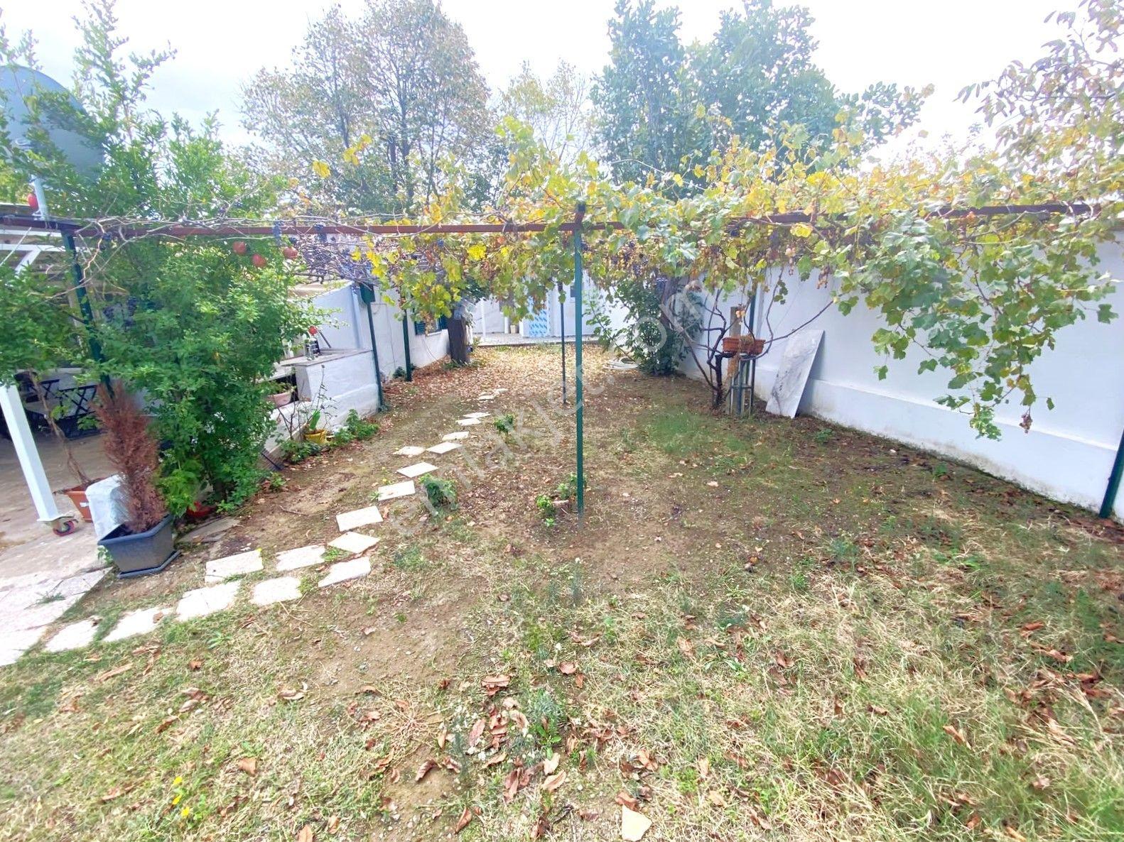 Aygül'den İskele'de 6.380m2 İçerisinde Meyve Ağaçlarıyla Çevrili Yola Cephe Satılık 2+1 Ev Ve Arazi — fotoğraf 5