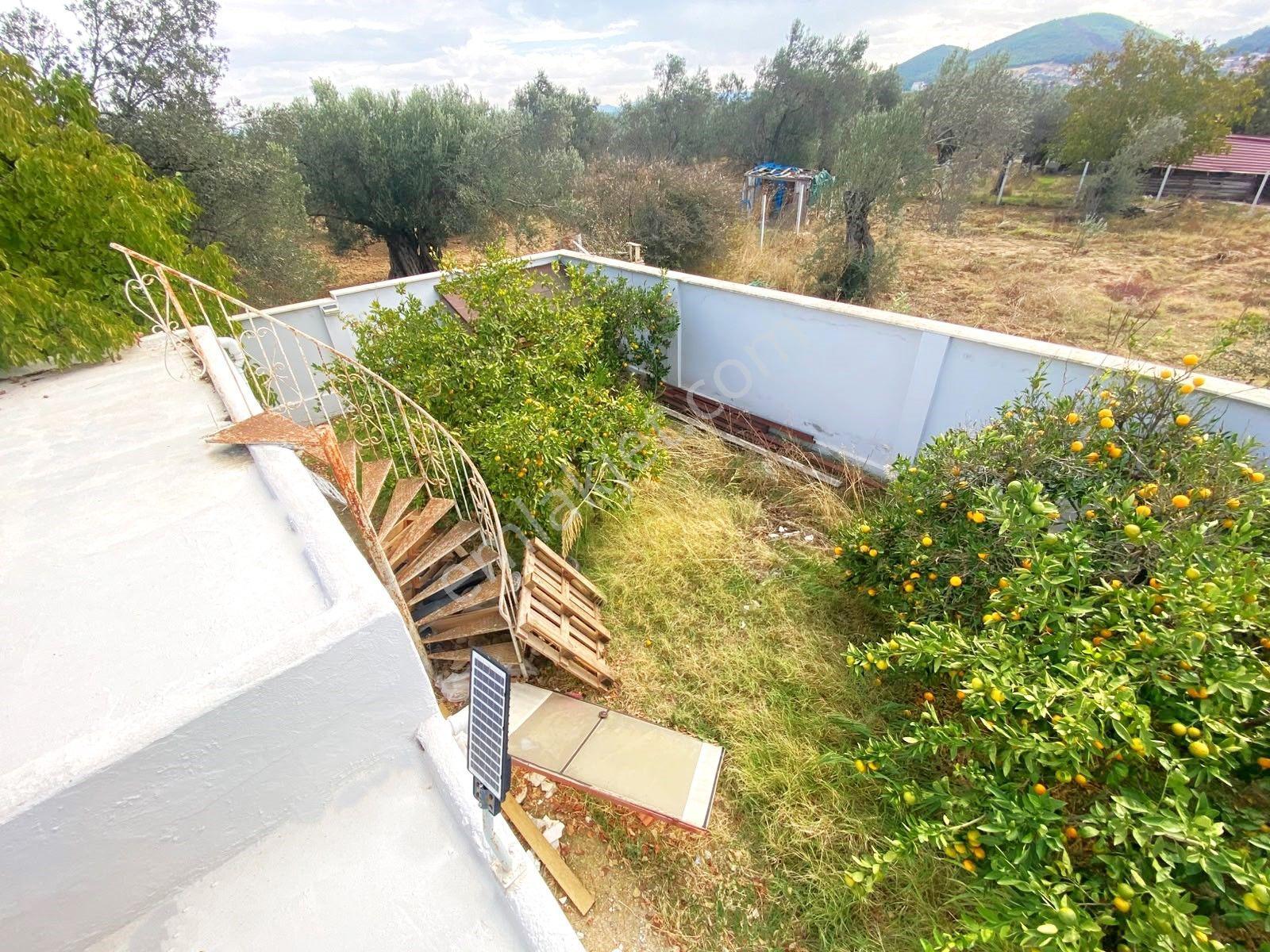 Aygül'den İskele'de 6.380m2 İçerisinde Meyve Ağaçlarıyla Çevrili Yola Cephe Satılık 2+1 Ev Ve Arazi — fotoğraf 9