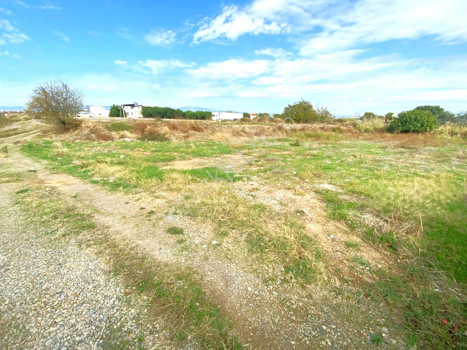 Aygül'den İskele'de 6.380m2 İçerisinde Meyve Ağaçlarıyla Çevrili Yola Cephe Satılık 2+1 Ev Ve Arazi — fotoğraf 16