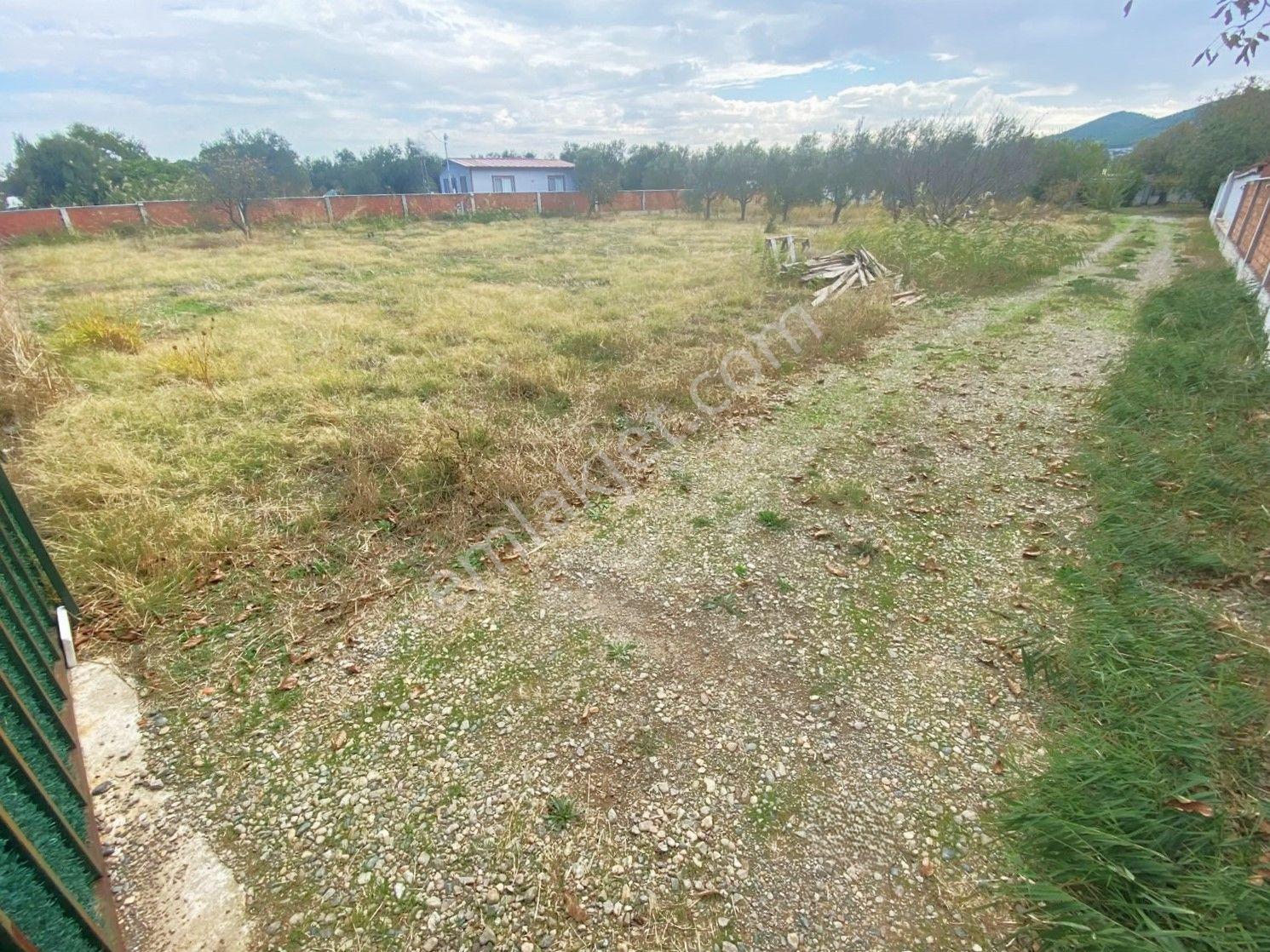 Aygül'den İskele'de 6.380m2 İçerisinde Meyve Ağaçlarıyla Çevrili Yola Cephe Satılık 2+1 Ev Ve Arazi — fotoğraf 17