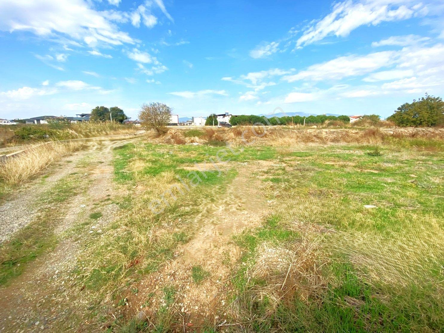 Aygül'den İskele'de 6.380m2 İçerisinde Meyve Ağaçlarıyla Çevrili Yola Cephe Satılık 2+1 Ev Ve Arazi — fotoğraf 18