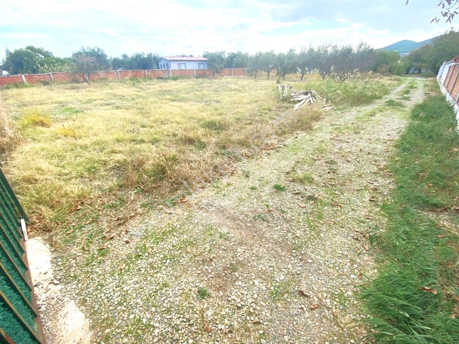 Aygül'den İskele'de 6.380m2 İçerisinde Meyve Ağaçlarıyla Çevrili Yola Cephe Satılık 2+1 Ev Ve Arazi — fotoğraf 19