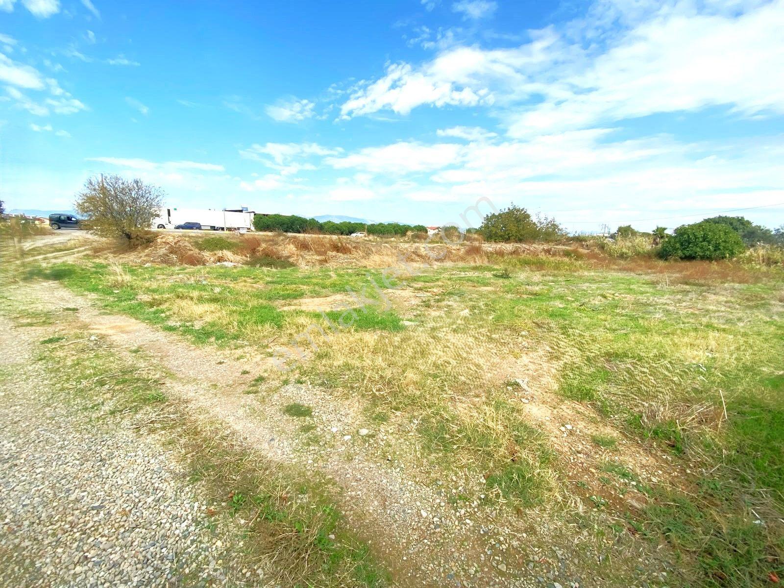 Aygül'den İskele'de 6.380m2 İçerisinde Meyve Ağaçlarıyla Çevrili Yola Cephe Satılık 2+1 Ev Ve Arazi — fotoğraf 24