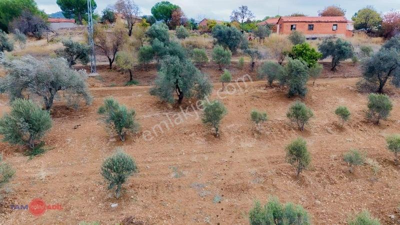 Bergama Sağancı Köyünde Muhteşem Bir Yatırımlık Arsa — fotoğraf 6