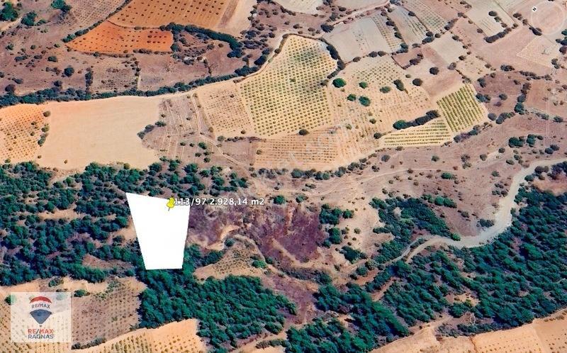 Denizli Çal Çakırlar Mh 2.928 M2 Resmi Yola 2 Parsel Satılık Bağ — fotoğraf 6