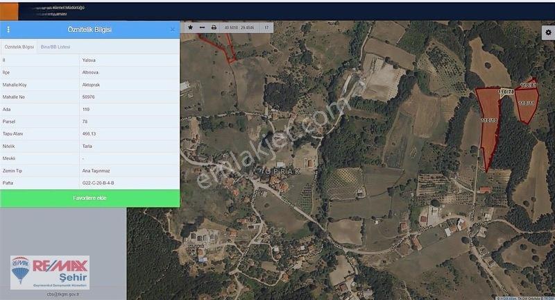 Yalova Altınova Aktoprak Köyünde 12.556m2 Satılık Tarla — fotoğraf 7