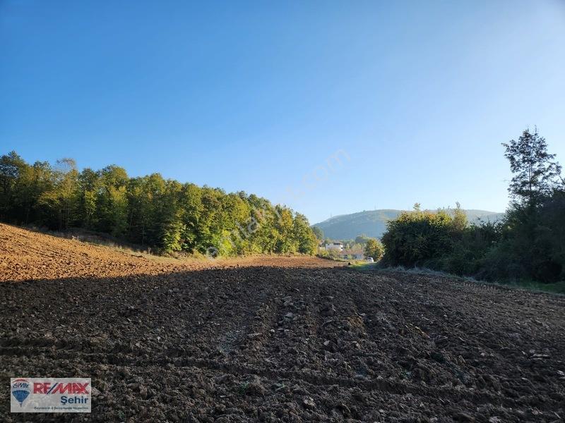 Yalova Altınova Aktoprak Köyünde 12.556m2 Satılık Tarla — fotoğraf 8