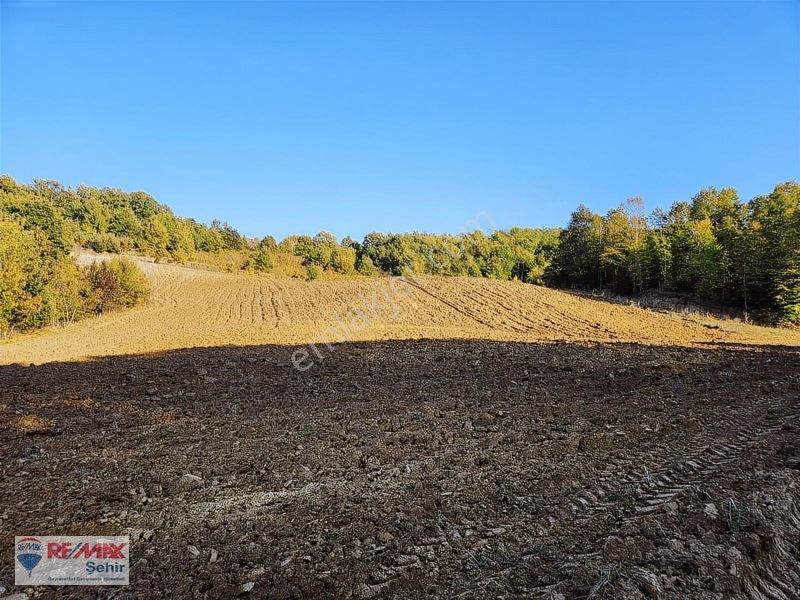 Yalova Altınova Aktoprak Köyünde 12.556m2 Satılık Tarla — fotoğraf 9